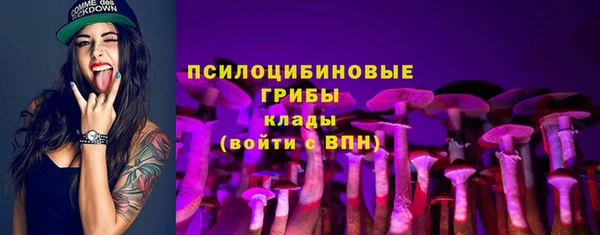 МДПВ Абинск