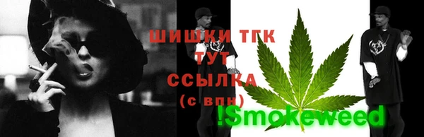 тгк Абаза