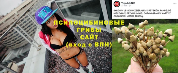 тгк Абаза